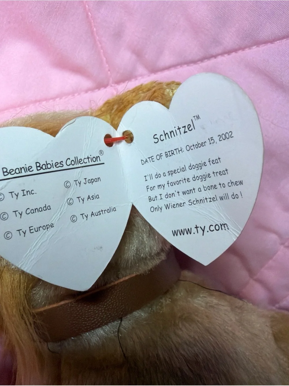 🤎 SCHNITZEL 🤎 2002 Ty Beanie Babies Tan Schnauzer DOG Mustache
